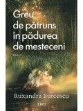 Precomanda - Greu de patruns in padurea de mesteceni/Ruxandra Burcescu