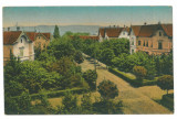 3081 - SIBIU, Romania - old postcard - used - 1916, Circulata, Printata