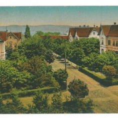 3081 - SIBIU, Romania - old postcard - used - 1916