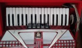 Instrument muzical