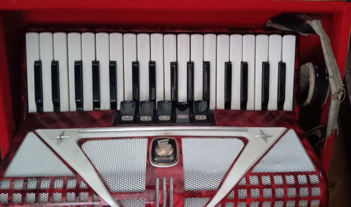 Instrument muzical