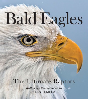 Bald Eagles: The Ultimate Raptors foto