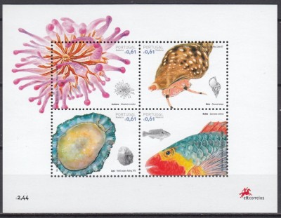 Madeira 2007 - FAUNA MARINA - MNH - Nominal 2,44 Eur. foto