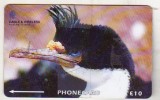bnk card Cartele telefonice - Insulele Falkland - fauna - pasari