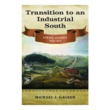 Transition to an Industrial South