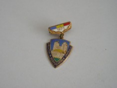 QW9 L 7 - Insigna - tematica comunism - Fruntas in gospodarirea orasului an 1971