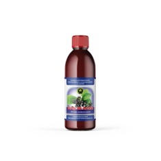 SIROP DE ARONIA CU ZAHAR 500ML foto