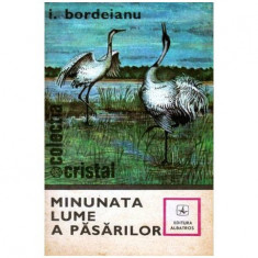 Ion Bordeianu - Minunata lume a pasarilor - 102543