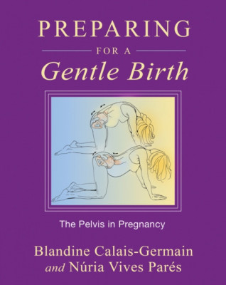 Preparing for a Gentle Birth: The Pelvis in Pregnancy foto