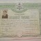 qw13 14 - 1946 - Diploma de Bacalaureat comercial - dimensiuni 45/32 cm