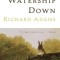 Tales from Watership Down
