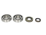 Cumpara ieftin Lagare cu arbore cotit set cu garnituri pentru SUZUKI RM 250 2003-2004