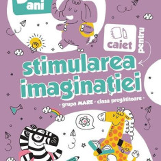 Caiet pentru stimularea imaginației. 5-7 ani. Grupa mare și clasa pregătitoare - Paperback brosat - Paralela 45 educațional