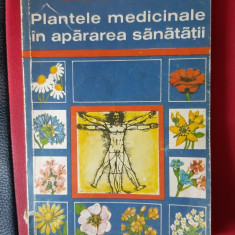 PLANTELE MEDICINALE IN APARAREA SANATATII - CONSTANTINESCU