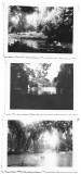 M1550N Parcul Cișmigiu, București, anii 1930, lot de 3 fotografii