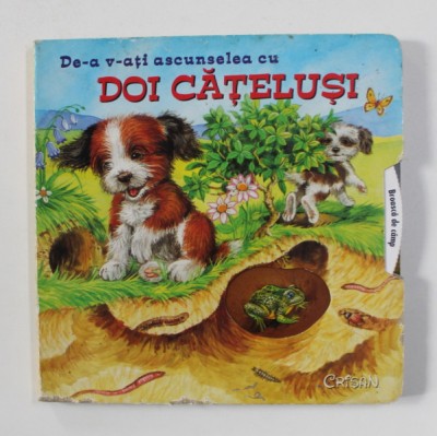 DE- A V-ATI ASCUNSELEA CU DOI CATELUSI , 2013 foto
