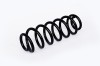 Arc Suspensie Spate 65889 NGH 02.03.010
