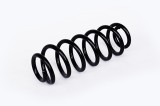 Arc Suspensie Spate 65889 NGH 02.03.010