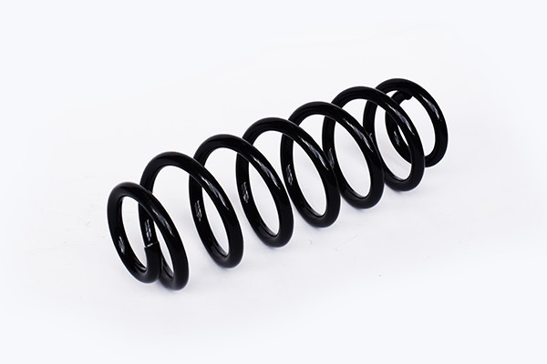 Arc Suspensie Spate 65889 NGH 02.03.010
