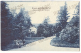 5146 - VATRA-DORNEI, Bucovina, Park, Romania - old postcard CENSOR - used - 1916