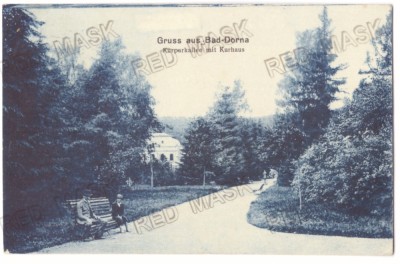 5146 - VATRA-DORNEI, Bucovina, Park, Romania - old postcard CENSOR - used - 1916 foto