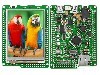 Afisaj TFT, {{Subtip afi&amp;#351;aj}}, rezolutie {{Rezolu&amp;#355;ie afi&amp;#351;aj}}, {{diagonala ecran}}, {{Tensiune alimentare}}, MIKROE - MIKROMEDIA FOR AR