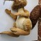 VEVERITA SCRAT ICE AGE 2 , INALTIME 54 CM , CEL MAI MARE !