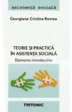 Teorie si practica in asistenta sociala. Elemente introductive - Georgiana-Cristina Rentea, 2024