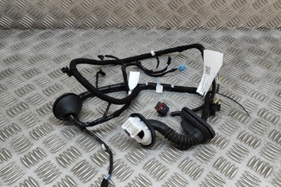 Cablaj ușă dreapta spate TESLA MODEL 3 2022 OEM: 2067966-00-B 25408446 foto