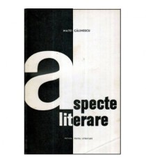 Matei Calinescu - Aspecte literare - 121704