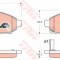 Set placute frana,frana disc NISSAN NAVARA platou / sasiu (D40) (2008 - 2016) TRW GDB3404