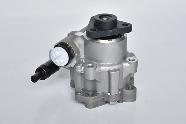 Pompa Servodirectie 64490 NGH 01.10.010