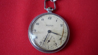 CEAS DE BUZUNAR MOLNIA foto