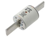 Siguranță industrială NIKDIM LTD 250A 500V AC gG NHg