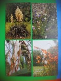 HOPCT LOT 2977 GRADINA BOTANICA -IASI-4 CARTI POSTALE-NECIRCULATE