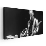 Tablou afis Metallica trupa rock 2362 Tablou canvas pe panza CU RAMA 70x140 cm