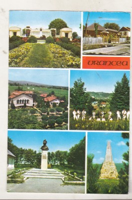 bnk cp Vrancea - Vedere - necirculata foto
