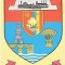 CP198-02 Stema judetului Olt -carte postala, necirculata - starea care se vede