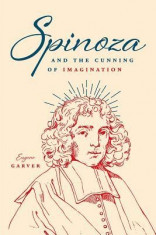 Spinoza and the Cunning of Imagination foto