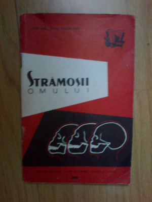 d5 STRAMOSII OMULUI - Olga Necrasov foto