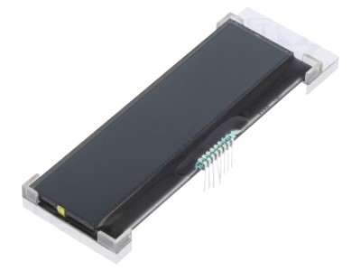 Display LCD grafic COG VA Negative foto