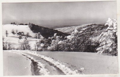 bnk cp Iarna pe Muntele Semenic - Vedere - uzata foto