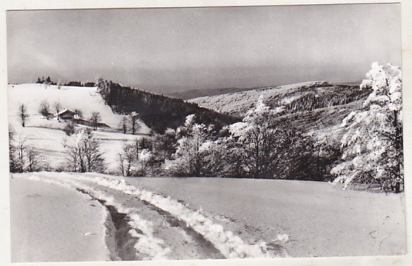 bnk cp Iarna pe Muntele Semenic - Vedere - uzata