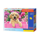 Puzzle 300 piese Labrador puppy in a box