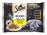 Sheba Delicacy Selecție de pungi din păsări de curte 4 x 85 g