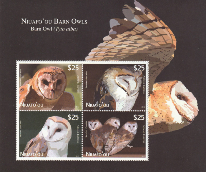 Niuafo&#039;ou (Tonga) 2012-Fauna,Pasari,Bufnite,Striga,Bloc 4 v.,MNH,Mi,TO-NI Bl.44
