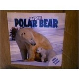 Save the Polar Bear