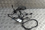 Cablaj ușă st&acirc;nga spate BMW X6 E71, E72 2009 OEM: 9203116,9207862 31318782