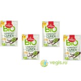 Pachet Zahar Vanilat Ecologic/Bio 4x8g