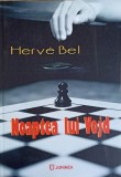 Noaptea lui Vojd - Herve Bel, Roman, Editura Junimea, 2013, 205 pagini, Beletristica